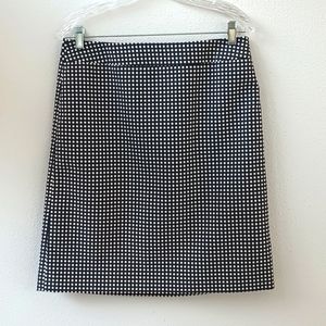 Ann Taylor Polka Dot Skirt